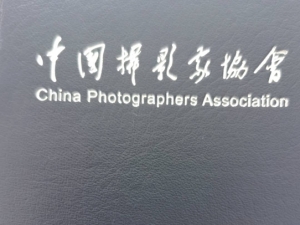 热烈祝贺泗洪县摄影协会常务理事金霞女士获中摄协会员称号 ... ...