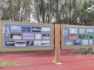 泗洪精美图片在湿地公园展出